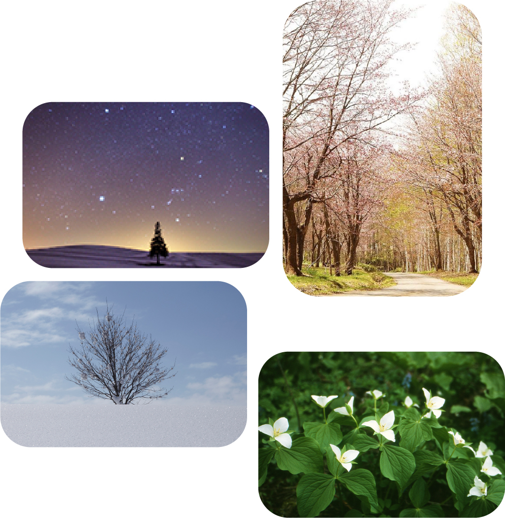 名寄の風景の写真