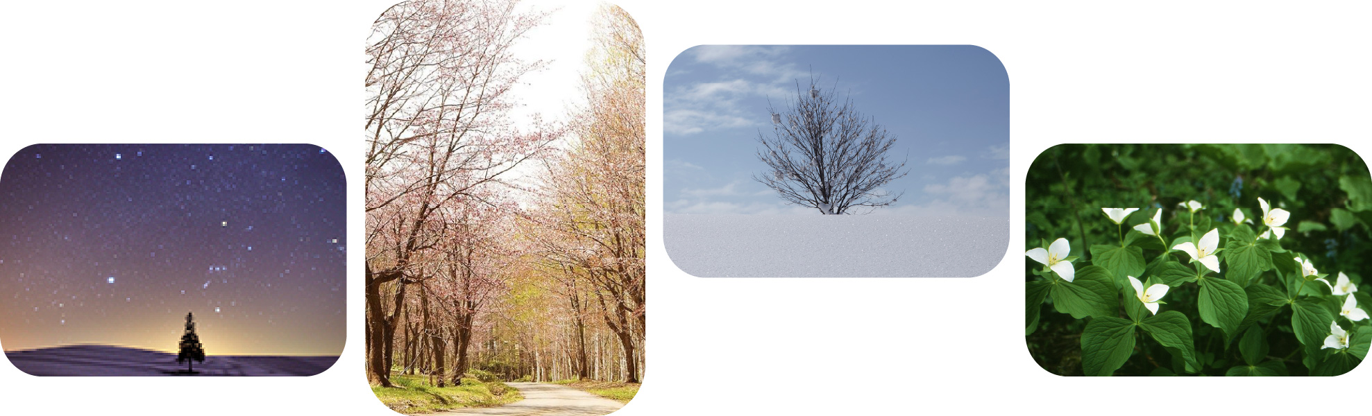 名寄の風景の写真