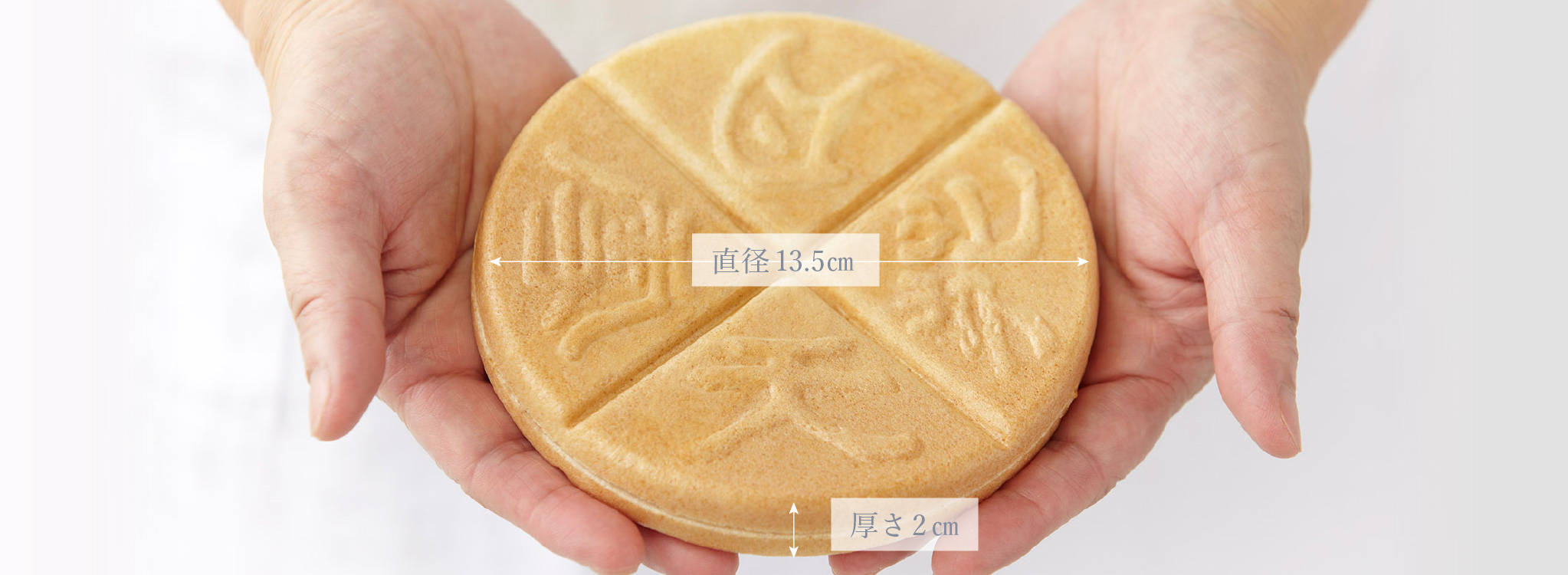 四季の宴のサイズ紹介